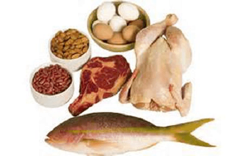 Fish and meat